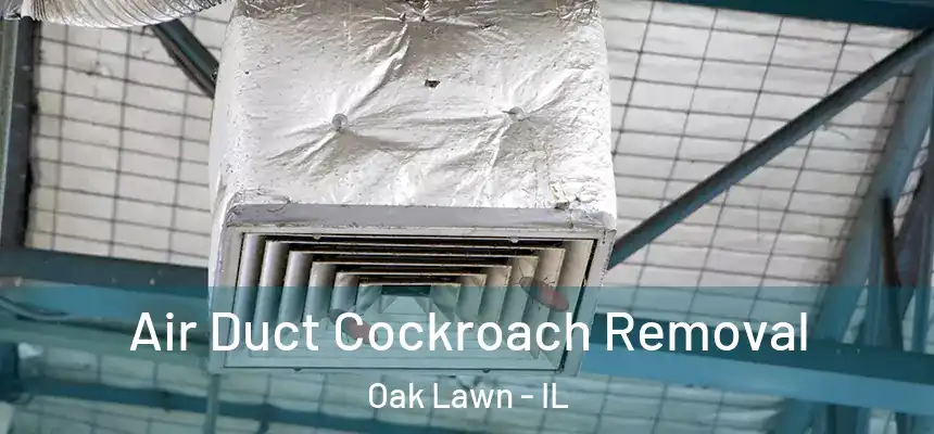 Air Duct Cockroach Removal Oak Lawn - IL