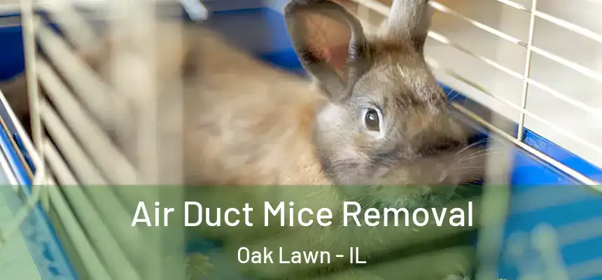  Air Duct Mice Removal Oak Lawn - IL