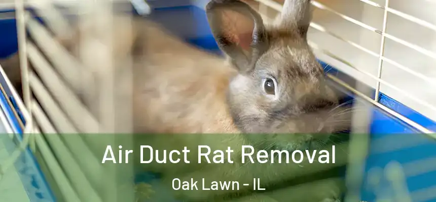  Air Duct Rat Removal Oak Lawn - IL