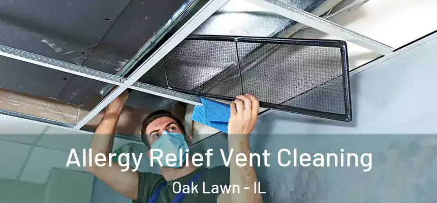  Allergy Relief Vent Cleaning Oak Lawn - IL
