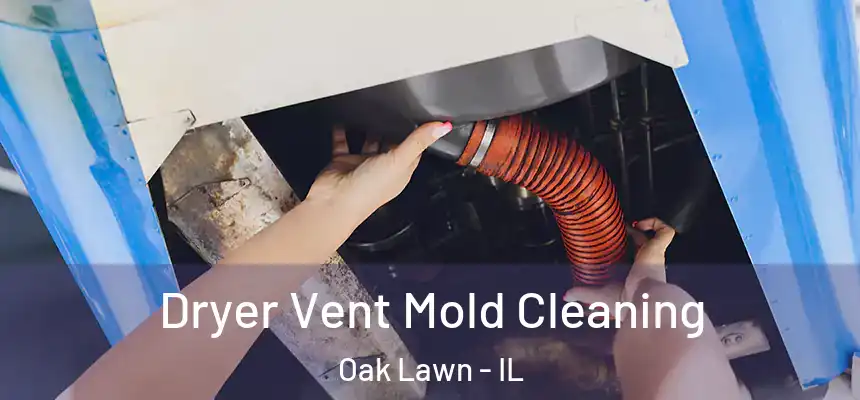  Dryer Vent Mold Cleaning Oak Lawn - IL