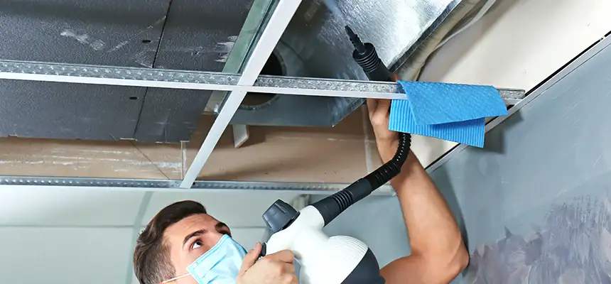 Our Air Duct Rodent Removal Services in Oak Lawn, IL