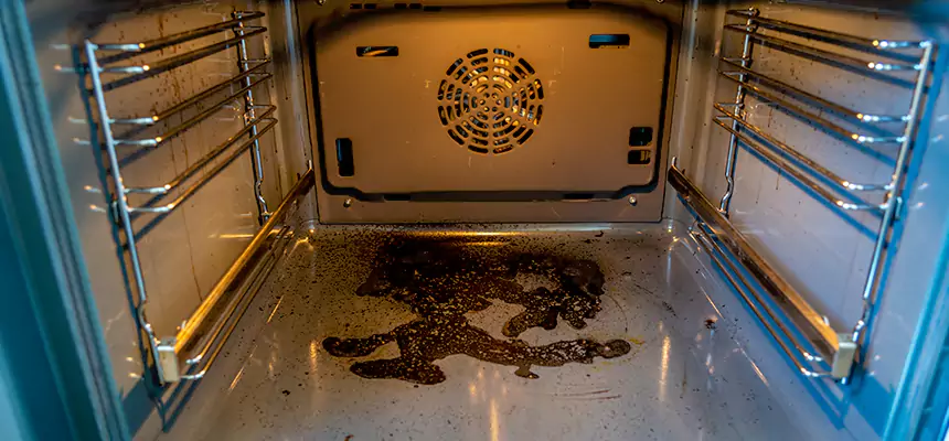 Our Dryer Vent Mold Cleaning Services in Oak Lawn, IL