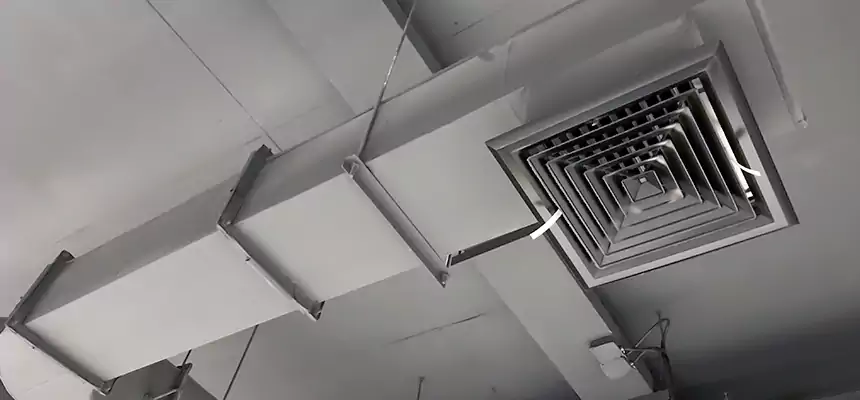 Our Pest Removal From Ducts Services in Oak Lawn, IL