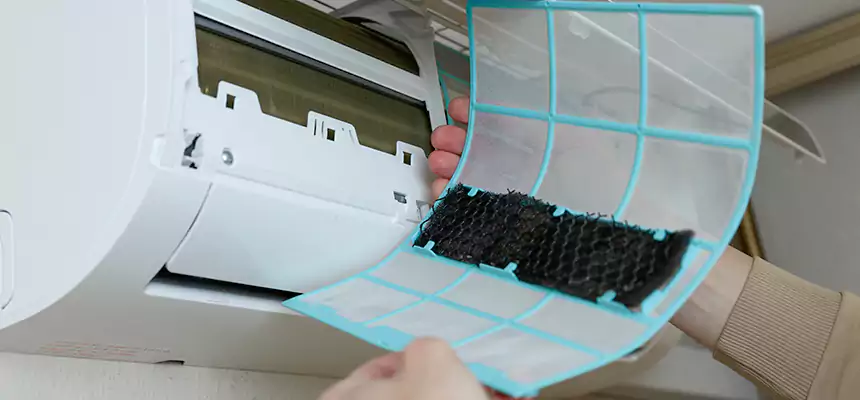 Gentle Ductwork Odor-Control Pet Dander Duct Cleaning in Oak Lawn, IL