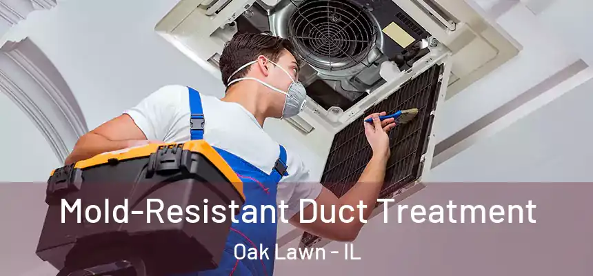  Mold-Resistant Duct Treatment Oak Lawn - IL