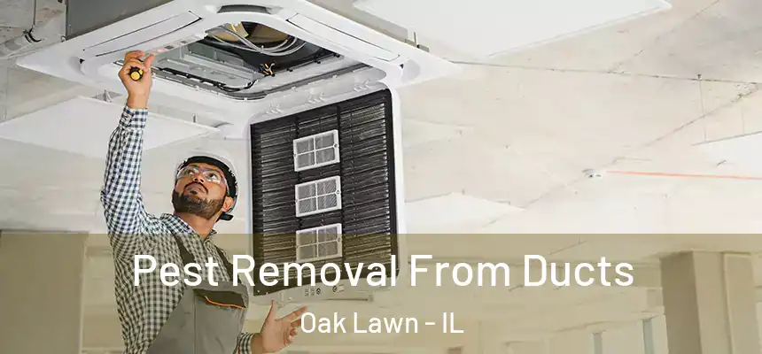 Pest Removal From Ducts Oak Lawn - IL