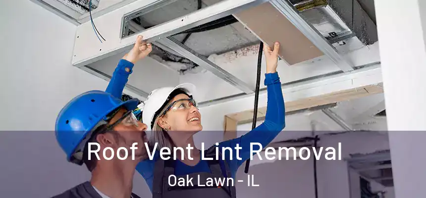 Roof Vent Lint Removal Oak Lawn - IL