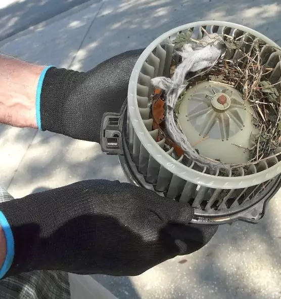 About Air Duct Rat Removal in Oak Lawn, IL