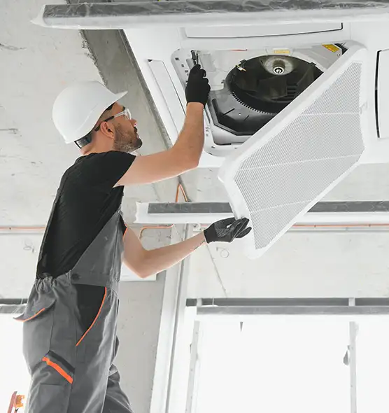 About Air Duct Rodent Removal in Oak Lawn, IL