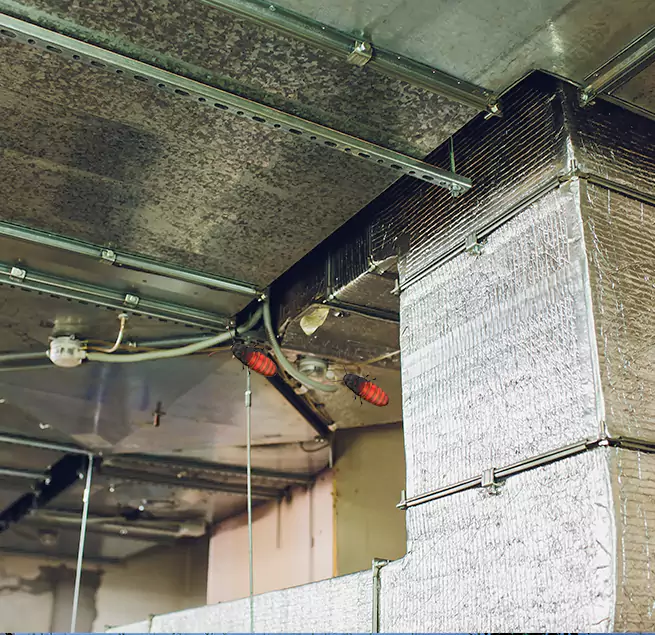 Why Homeowners & Businesses Trust Us in Oak Lawn, IL?