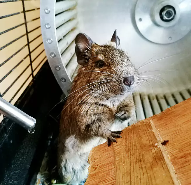 Why Homeowners & Businesses Trust Us Oak Lawn, IL