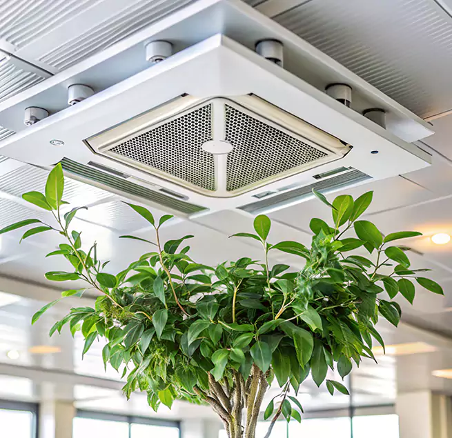 Why Homeowners & Businesses Trust Us in Oak Lawn, IL?